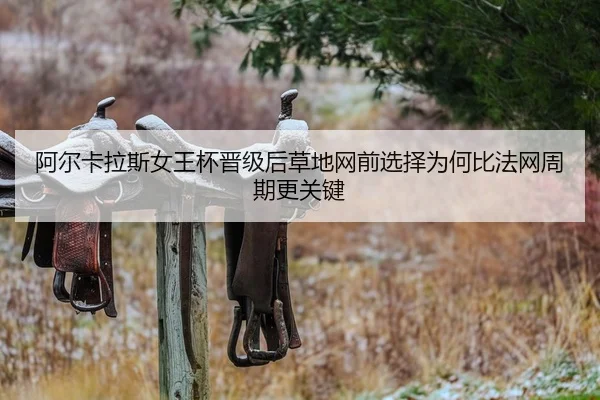 a-er-ka-la-si-nv-wang-bei-jin-ji-hou-cao-di-wang-qian-xuan-ze-wei-he-bi-fa-wang-zhou-qi-geng-guan-jian-2-497.jpg