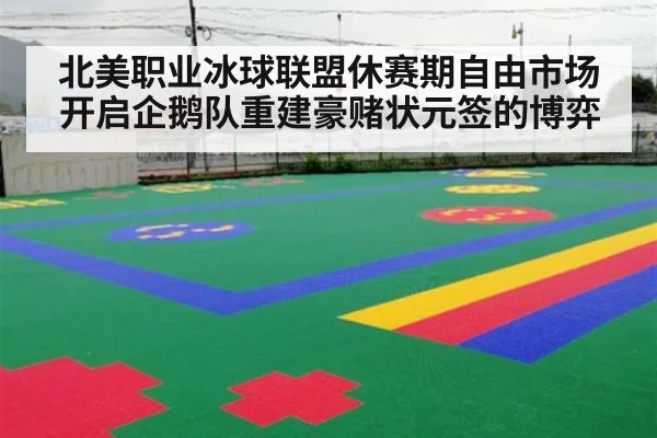 北美职业冰球联盟休赛期自由市场开启企鹅队重建豪赌状元签的博弈